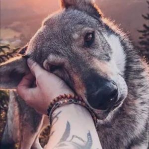 Meet your Posher, Kanan